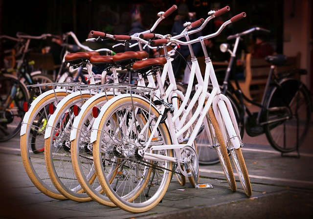 Op twee wielen: een reis door de wereld van fietsen, onderhoud, veiligheid en hun rijke historie